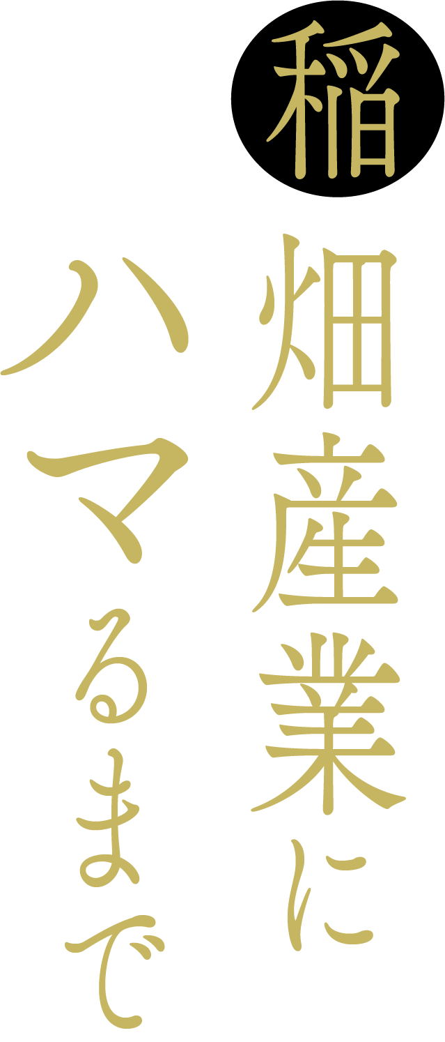 稲畑産業にハマるまで