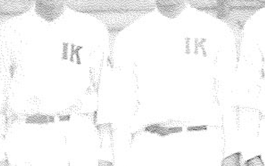 Inabata’s employee baseball team
