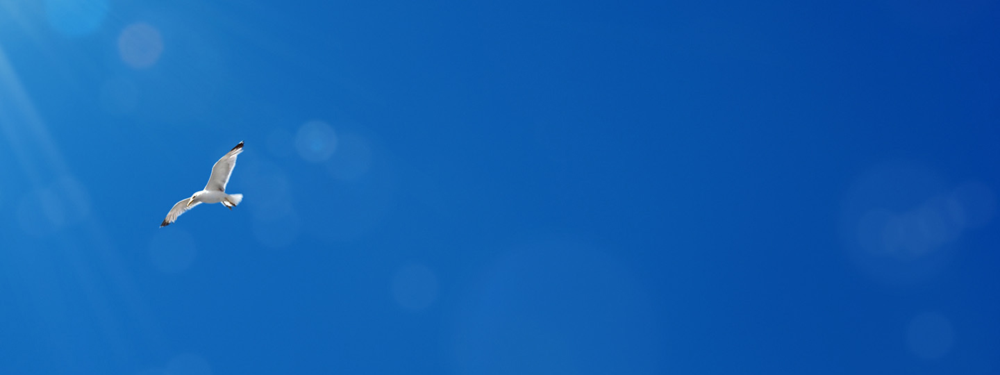 Mid-term Management Plan